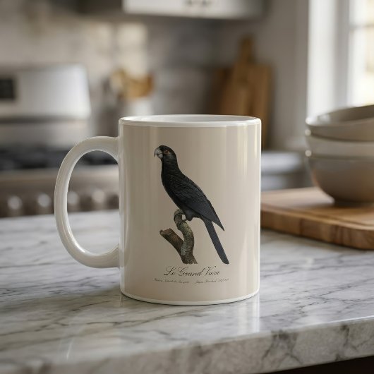 Mug Grand Vasa, Coracopsis Vasa Illustration