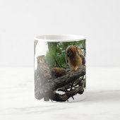 Mug Grands hiboux à cornes (Centre)