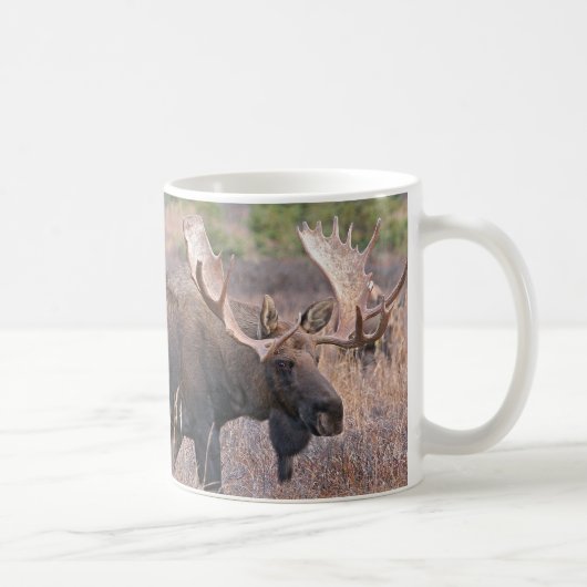Mug Grands orignaux de Taureau (Droite)