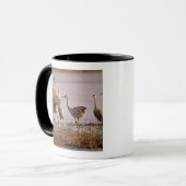 Mug Granes de Sandhill Grus canadensis) Platte (Devant gauche)