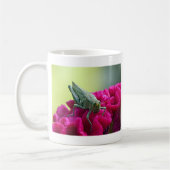 Mug Grasshopper sur Cockscomb (Gauche)