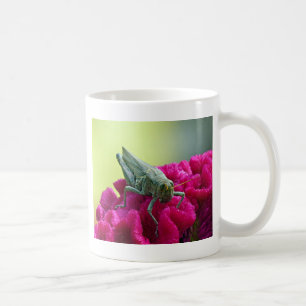 Mug Grasshopper sur Cockscomb