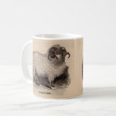 Mug Gravure du 19e siècle Mouton des Highlands (Devant gauche)