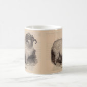 Mug Gravure du 19e siècle Mouton des Highlands (Centre)