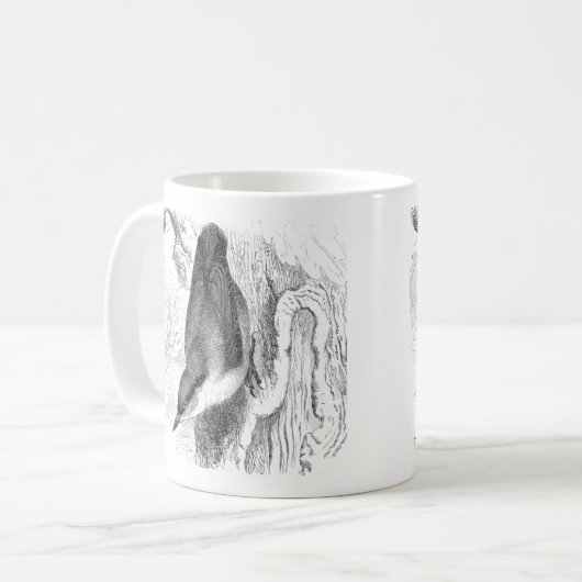 Mug Gravures d'oiseaux - un Nuthatch & Treecreeper (Devant gauche)