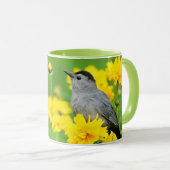 Mug Gray Catbird on wooden fence (Devant droit)