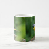 Mug Gray Wagtail - oiseau (Centre)