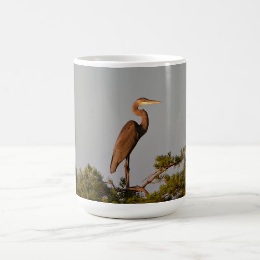 Mug Great Blue Heron Bird Faune Photographie Nature (Centre)