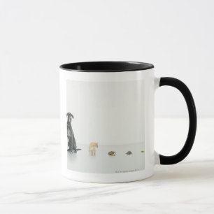 Mug Great dane, chat, cobaye, tortue et lingot