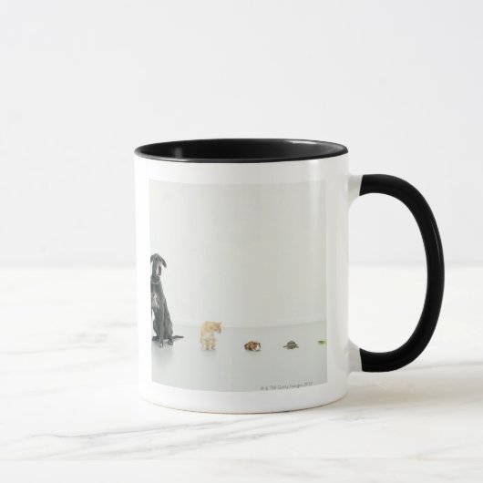 Mug Great dane, chat, cobaye, tortue et lingot (Droite)