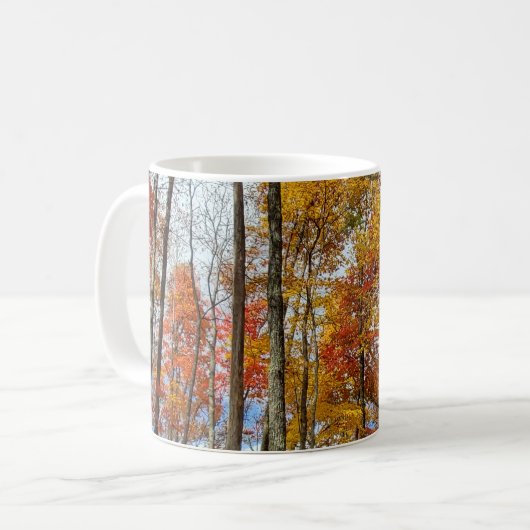 Mug Great Smoky Mountains National Park Chute Foliing (Devant gauche)