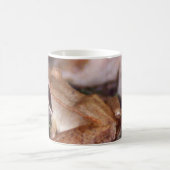 Mug Grenouille à bois (Centre)