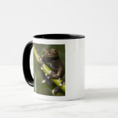 Mug Grenouille arboricole captive de Tapichalaca Hylos (Devant gauche)