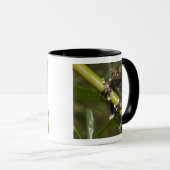 Mug Grenouille arboricole captive de Tapichalaca Hylos (Devant droit)