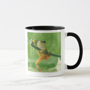 Mug Grenouille d'arbre