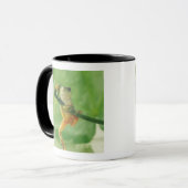 Mug Grenouille d'arbre (Devant gauche)
