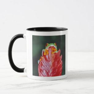 Mug Grenouille d'arbre aux yeux rouges sur la feuille