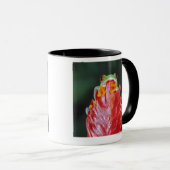 Mug Grenouille d'arbre aux yeux rouges sur la feuille (Devant droit)