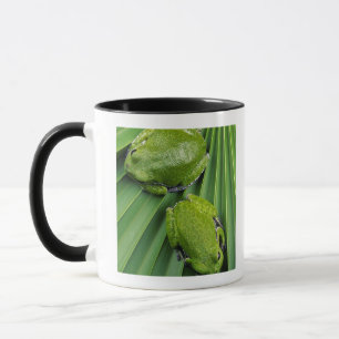Mug Grenouille d'arbre d'écorcement (gratiosa de hyla