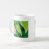 Mug grenouille d'arbre observée par rouge (Devant gauche)