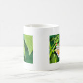Mug grenouille d'arbre observée par rouge (Centre)