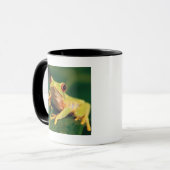Mug Grenouille d'arbre rouge d'oeil (Devant gauche)