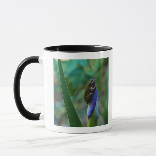 Mug Grenouille d'arbre verte sur l'iris (Gauche)