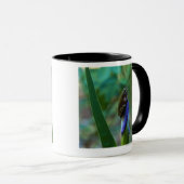 Mug Grenouille d'arbre verte sur l'iris (Devant droit)