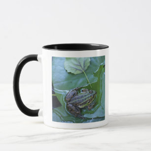 Mug Grenouille de piscine, Amperauen, Allemagne