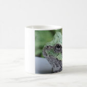 Mug Grenouille des arbres (Centre)