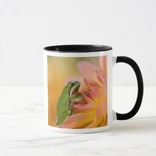 Mug Grenouille du Pacifique sur des fleurs dans notre