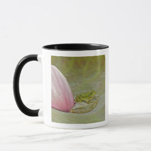 Mug Grenouille et pétale de fleur de lotus, Chine,