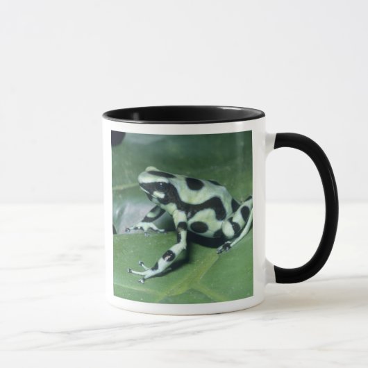 Mug Grenouille flèche, (Dendrobates auratus) Cahuita (Droite)