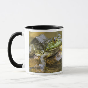 Mug Grenouille le long de la rivière Buffalo, Mile 126