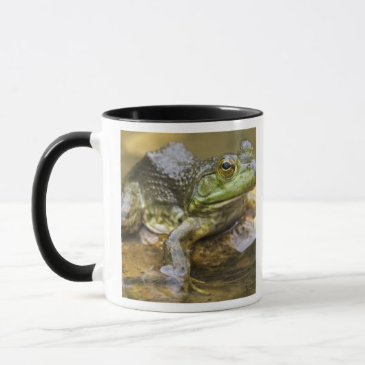 Mug Grenouille le long de la rivière Buffalo, Mile 126 (Gauche)