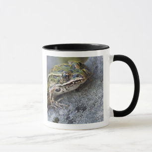 Mug Grenouille léopard du nord, Île transparente,