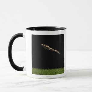 Mug grenouille sautant outre de l'herbe verte fraîche