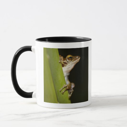 Mug Grenouille sur la feuille dans le profil (Gauche)