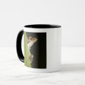 Mug Grenouille sur la feuille dans le profil (Devant gauche)