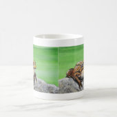 Mug Grenouille sur un rocher (Centre)