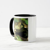Mug Grenouille taureau. (Devant gauche)