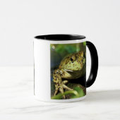Mug Grenouille taureau. (Devant droit)