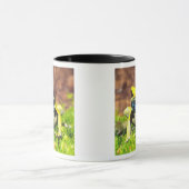 Mug Grenouille teinturière, Dendrobates tinctorius, (Centre)