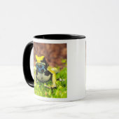 Mug Grenouille teinturière, Dendrobates tinctorius, (Devant gauche)
