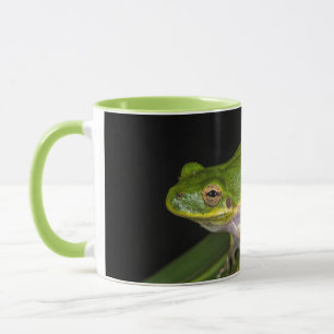 Mug Grenouille verte (Hyla cinerea) 2