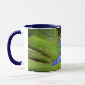 Mug Grenouilles bleues de dard de poison dans la (Gauche)