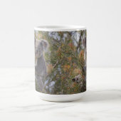 Mug Grevillea Koala Bear, (Centre)