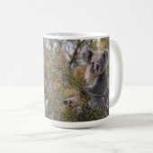 Mug Grevillea Koala Bear, (Devant droit)