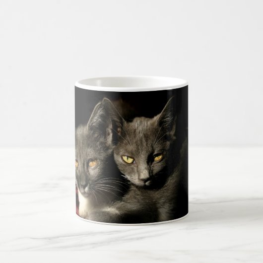 Mug Grey Cats Photo Musique (Centre)