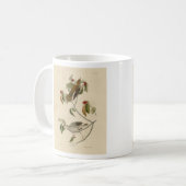 Mug Grive de bois des oiseaux d'Amérique d'Audubon (Devant gauche)